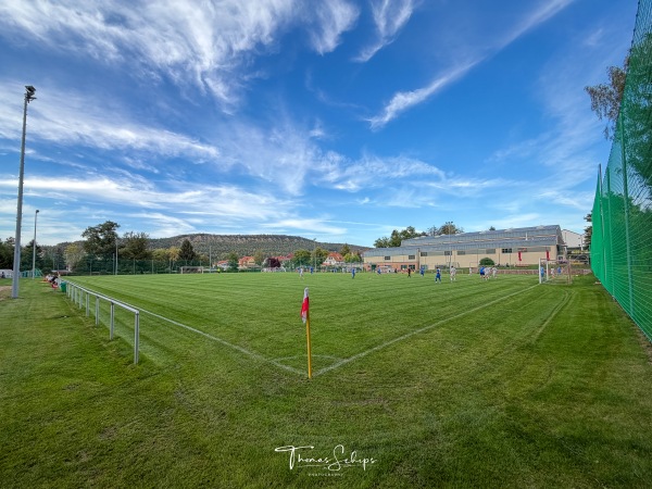Sportplatz an der Hörselberghalle - Wutha-Farnroda