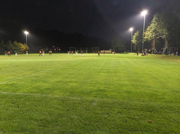 ZME-Arena - Biebergemünd-Wirtheim