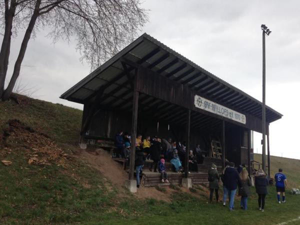 Jossastadion - Schlitz-Willofs