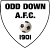 Wappen Odd Down AFC