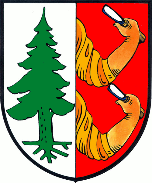 Wappen TJ Sokol Nová Ves v Horách