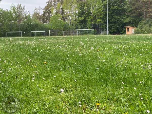 Sportanlage Bernhecker Straße Platz 2 - Plech