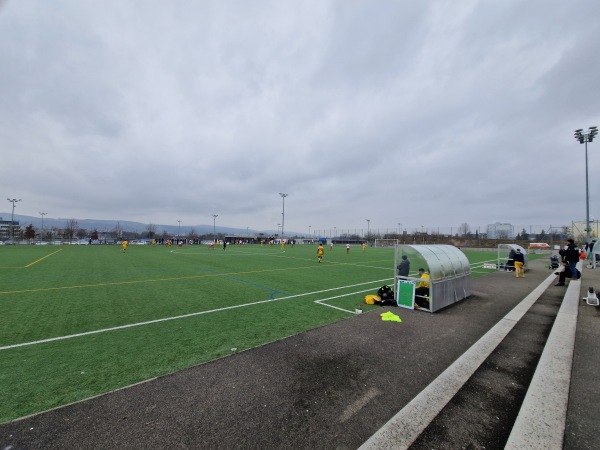 Sportanlage Griespark Platz 3 - Volketswil
