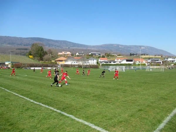 Terrain de Sports de Derrière-Ville terrain 2 - Champagne