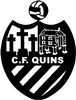 Wappen ehemals CF Quins