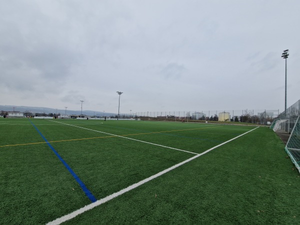 Sportanlage Griespark Platz 4 - Volketswil