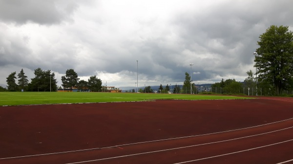 Sportanlage Waldegg Platz A - Horgen
