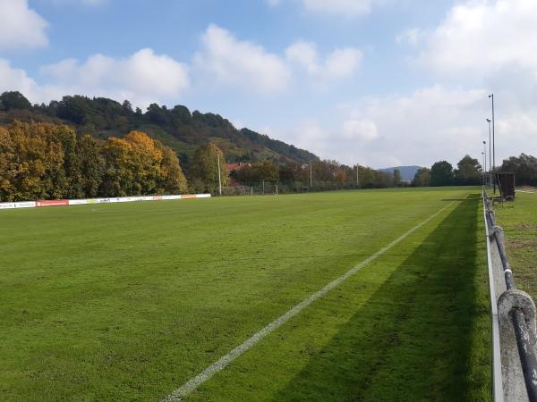 Sportplatz am Bahndamm - Ebelsbach-Steinbach