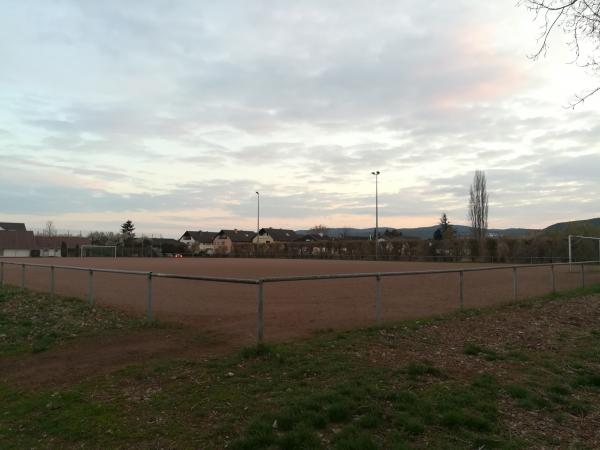 Sportplatz Honigsäckelstraße - Bad Dürkheim-Ungstein