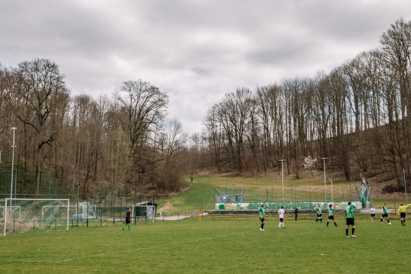 Sportplatz Plexgrund - Lichtentanne-Schönfels