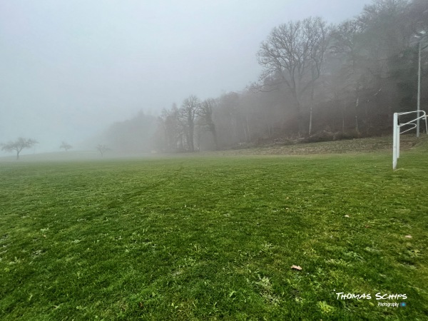 Alter Sportplatz Am Bord - Radolfzell/Bodensee-Liggeringen