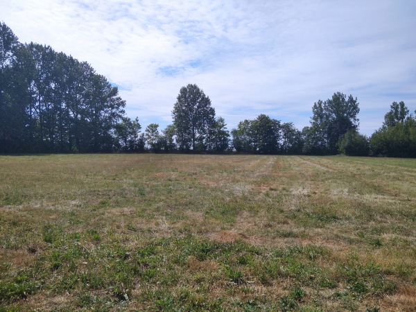 Sportplatz Am Seeufer  - Fünfseen-Kogel 