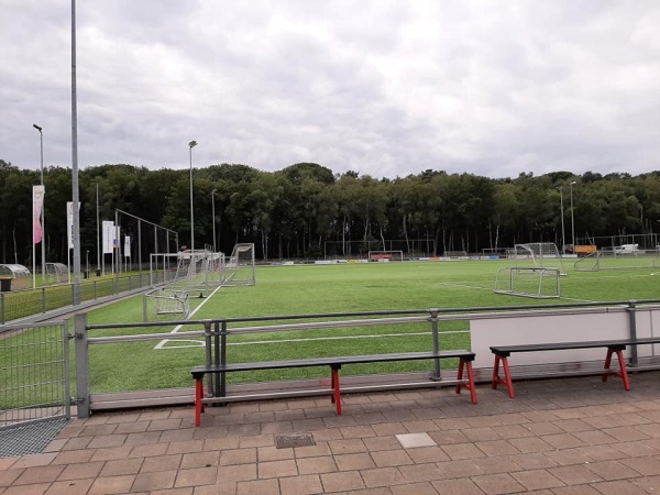 Sportpark Het Zoutendijk veld 2-hoofdveld - Enschede