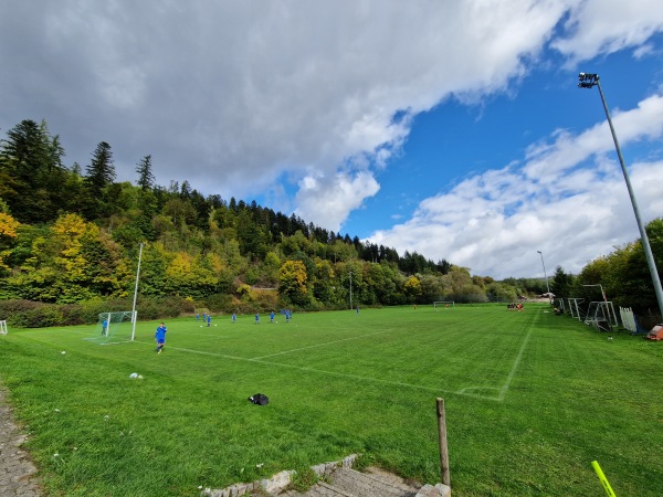 Flößer-Stadion Nebenplatz - Wallenfels