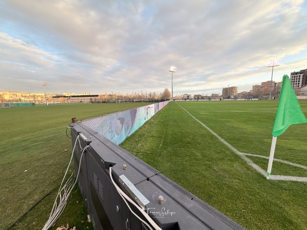 Armenia Football Academy grass - Yerevan