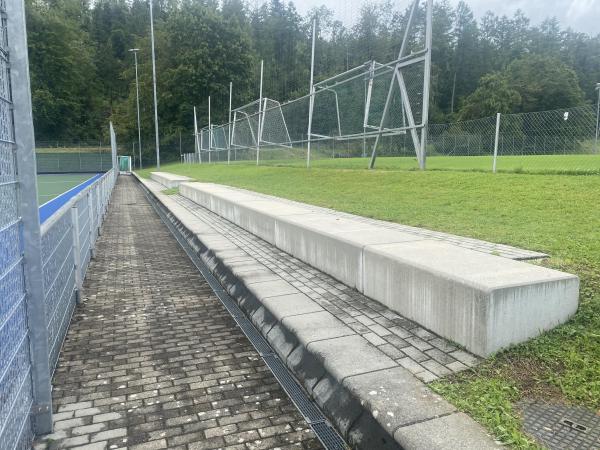 Sportanlage Buchlern Platz 7 - Zürich