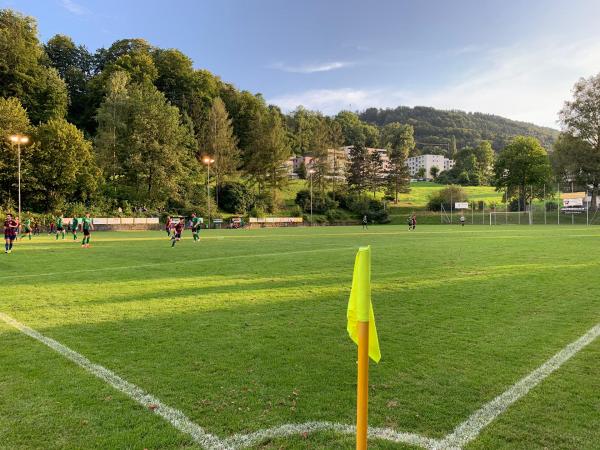 Sportplatz Grenzhof - Luzern