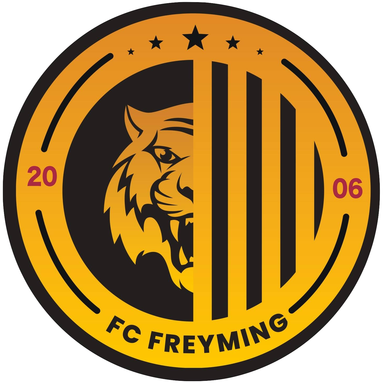 Wappen FC Freyming 06 diverse  139131