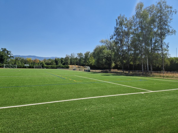 Centre Sportif Intercommunal des Evaux terrain 6 - Onex