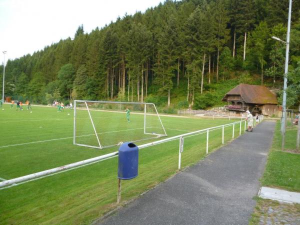 Sportanlage Waldseeweg Platz 2 - Hofstetten/Baden