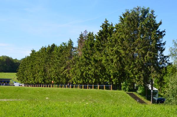 Sportplatz Sistig - Kall-Sistig