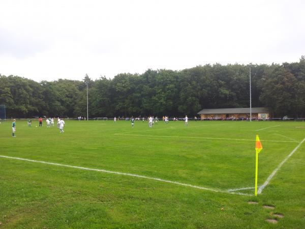 Waldstadion - Goseck