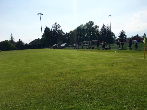 Stade de Balexert terrain 2 - Châtelaine