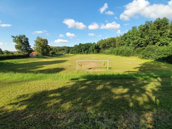 Sportanlage Am Biel Platz 2 - Zwickau-Niederplanitz