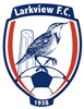Wappen Larkview Boys FC