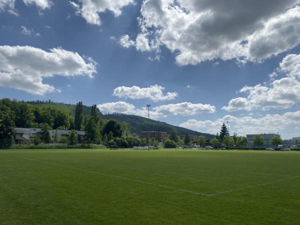 Sportanlagen Kleinholz Platz 3 - Olten