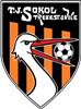Wappen TJ Sokol Třebestovice