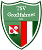 Wappen TSV Großfahner 2006 diverse  68533