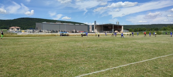 Sportplatz Bisonstraße - Springe
