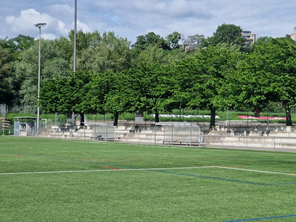 Stade de la Fontenette terrain B - Carouge GE
