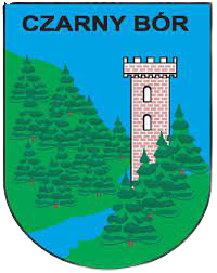 Wappen LZS Skalnik Czarny Bór  89987