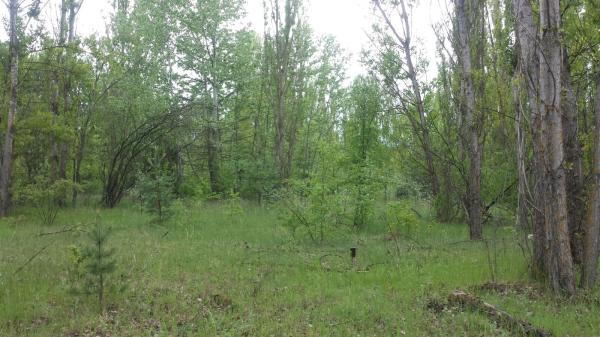 Stadion Avanhard - Pripyat