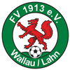 Wappen FV 1913 Wallau Reserve  38978