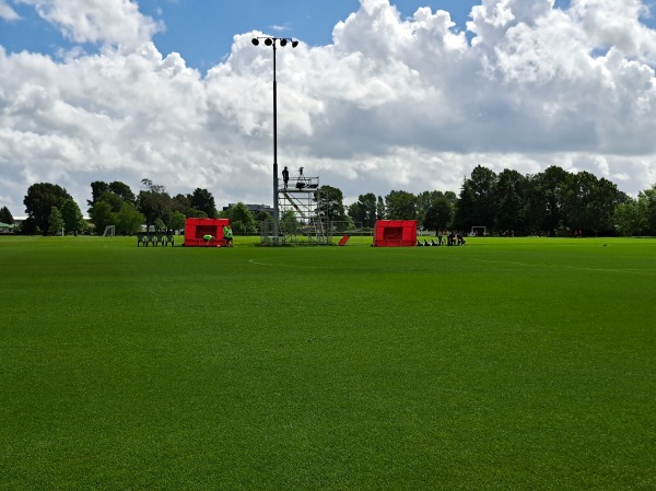 Gower Park field 6 - Hamilton