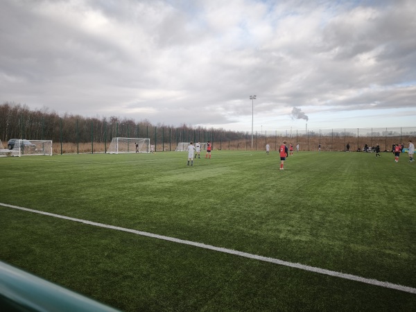 Falkirk Stadium Community Pitch - Falkirk, Falkirk