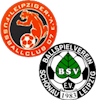 Wappen SpG Leipziger FC/Schönau (Ground A)