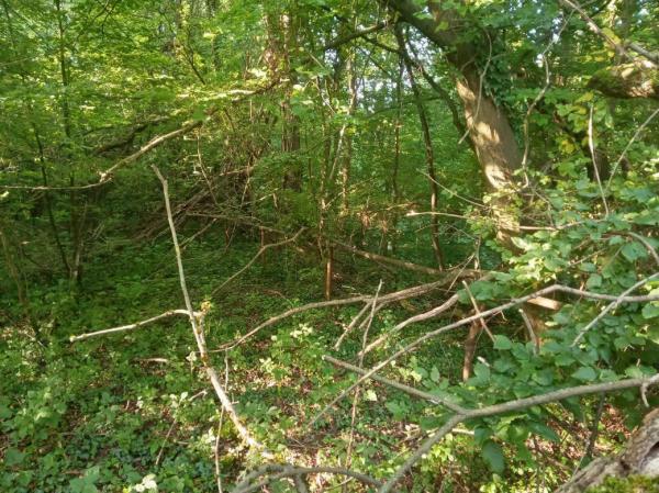 Sportplatz im Steinbruch - Mettmann-Neanderhöhe