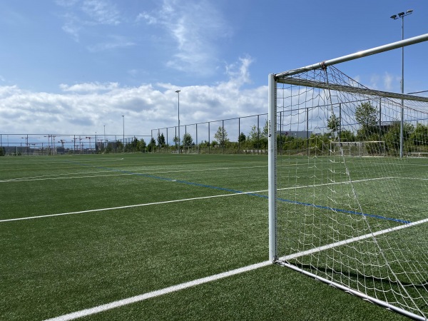 Centre Sportif de la Tuilière terrain 8 - Lausanne