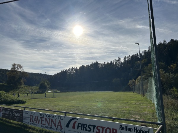 Sportgelände an der Pfreimd Platz 2 - Trausnitz