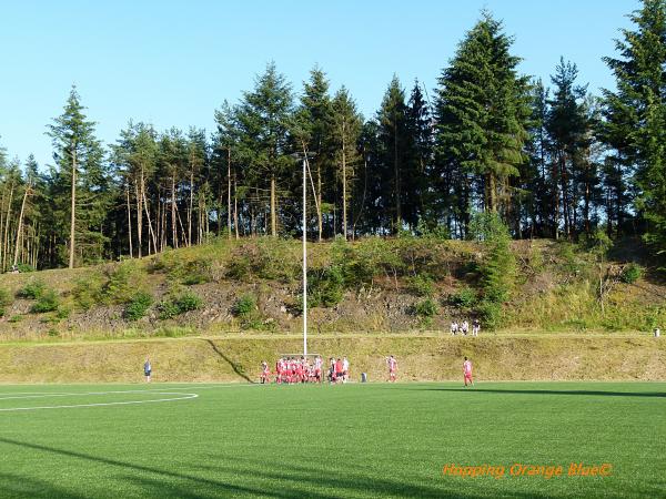 Knechtsburg-Arena - Steffenberg-Hörlen