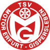 Wappen TSV Motor Gispersleben 1990 III