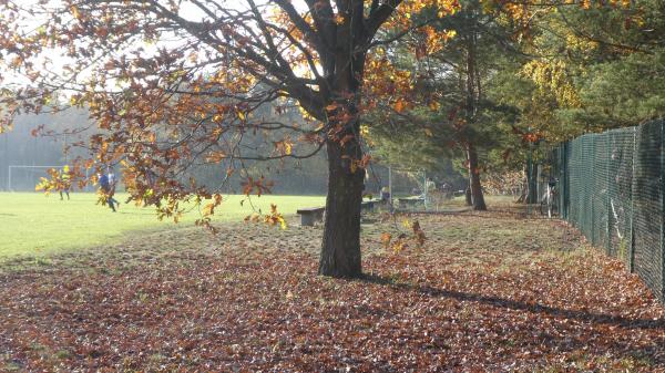 Boisko w Wężyska - Wężyska