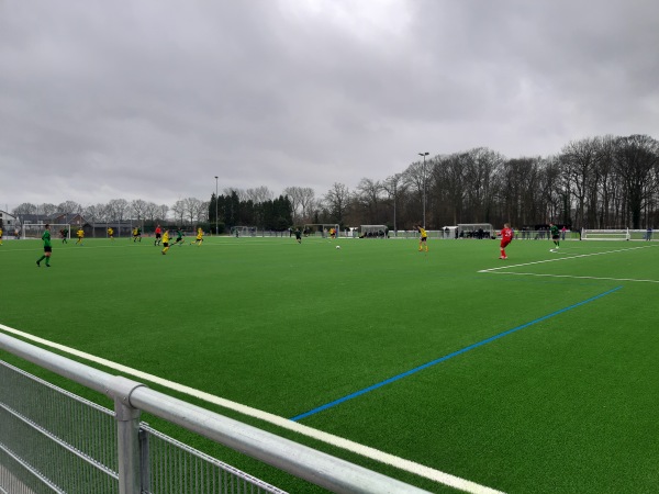 Sportanlage Im Draum Platz 2 - Münster/Westfalen-Sprakel