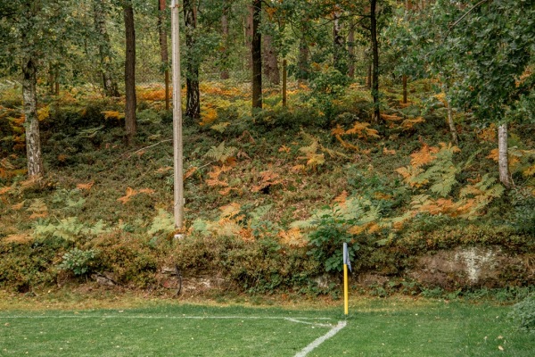 Waldsportplatz - Dippoldiswalde-Seifersdorf