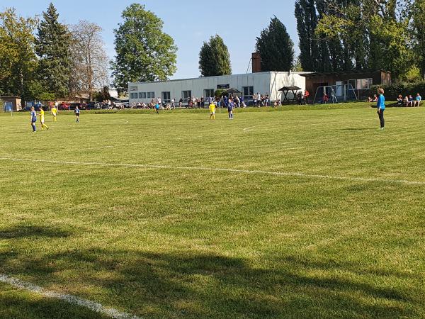 Sportplatz Erdmannsdorfer Straße - Chemnitz-Altchemnitz