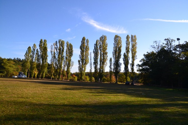 Sportplatz auf dem Rotenfels - Traisen/Nahe